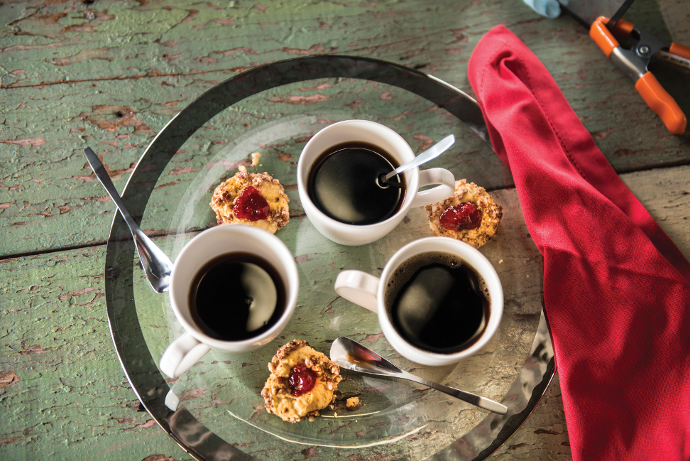 Nuevas Tendencias en el Consumo de Café