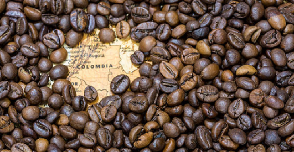FCN crea modelo logístico para exportar café tostado a EE.UU