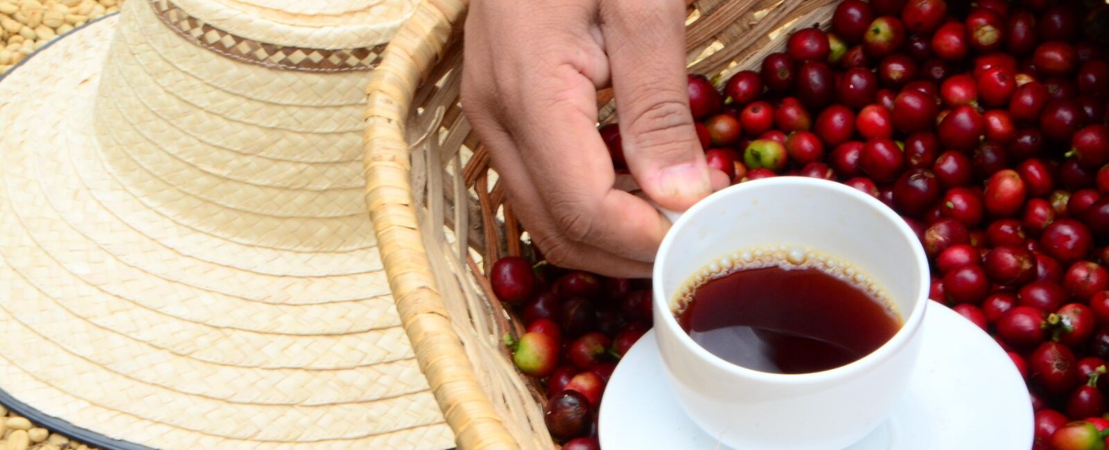 El café reduce riesgo de enfermedades del corazón, Parkinson y Alzheimer