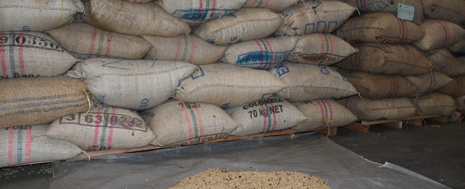 Atención: falta de contenedores pone en riesgo las exportaciones de café