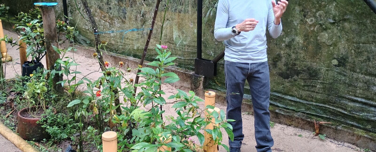 Bonita Farm, un fascinante oasis de naturaleza en medio de la ciudad