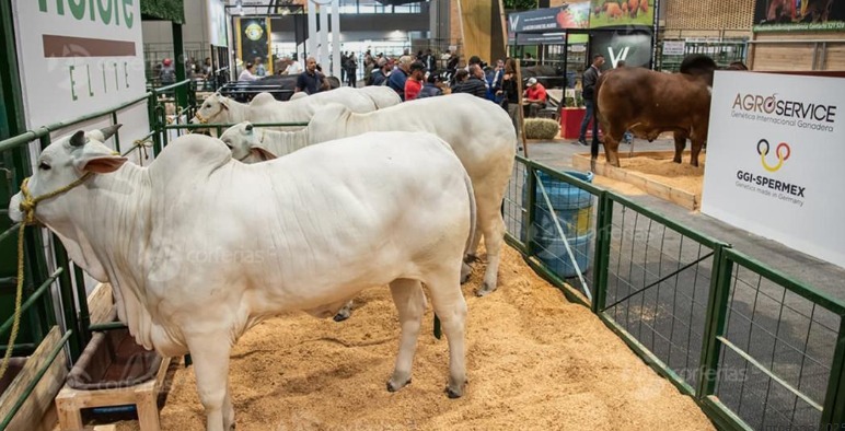 Agroexpo 2025 prendió motores para la celebración de 50 años de impulso al campo