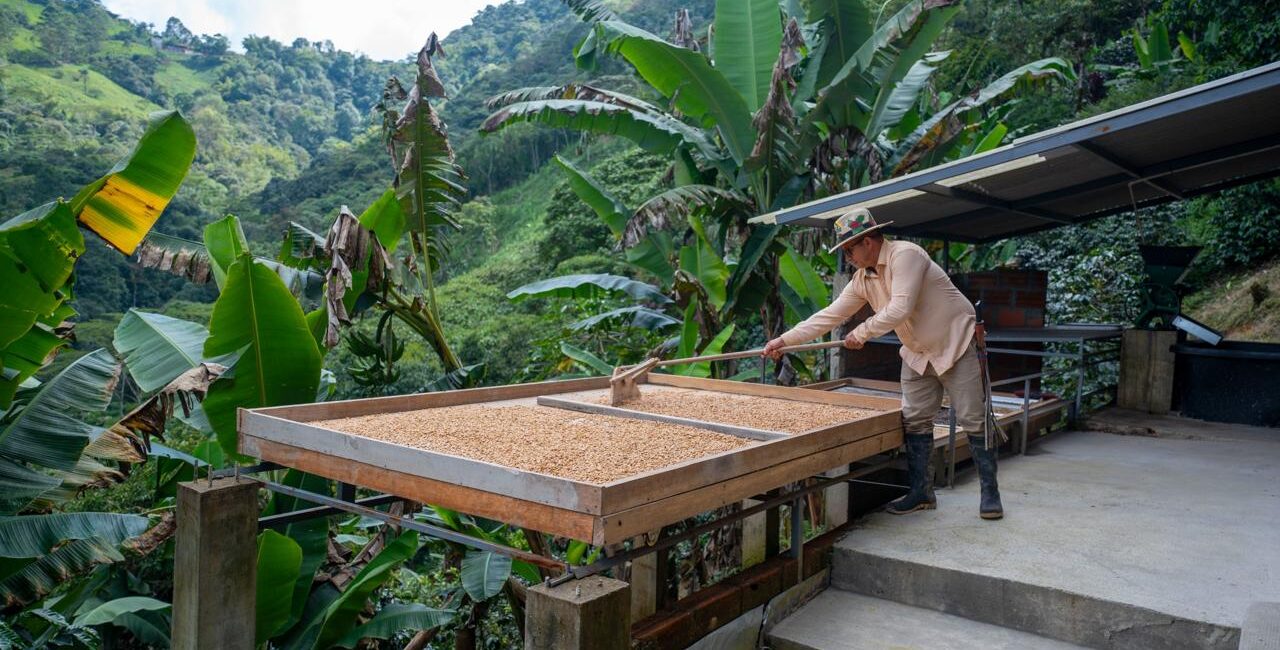 Las apuestas de Risaralda en el Día Internacional del Café