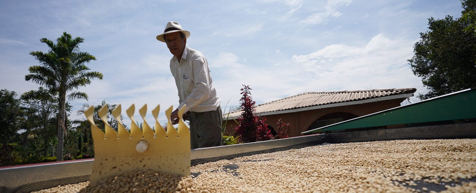 Cafés especiales, protagonistas del portafolio de productos de Risaralda en Emiratos Árabes