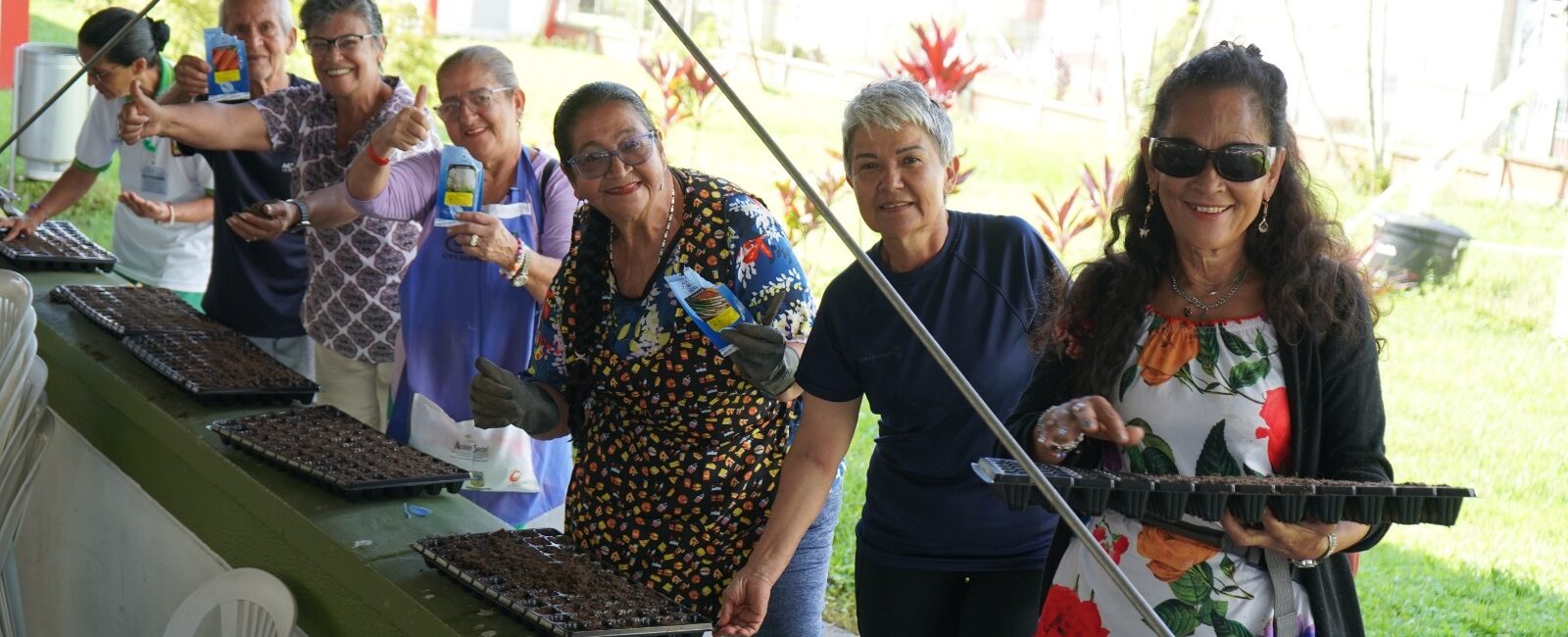 Adultos mayores recogen la primera cosecha de sus huertas